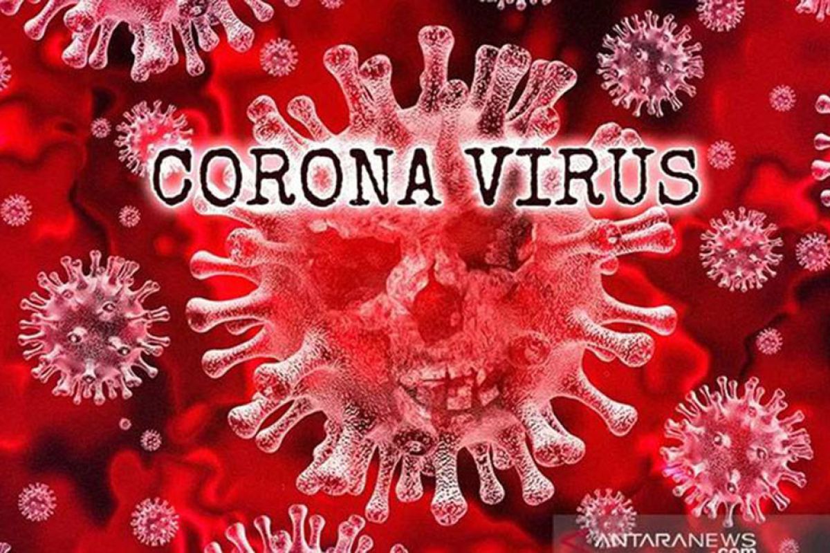 Kominfo: hingga Senin pagi, 232 hoaks virus corona