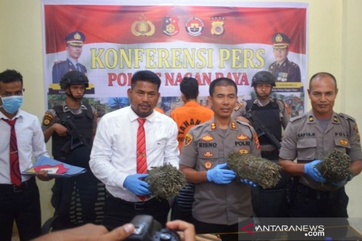 Jual ganja ke warga di desa, warga Nagan Raya ditangkap polisi