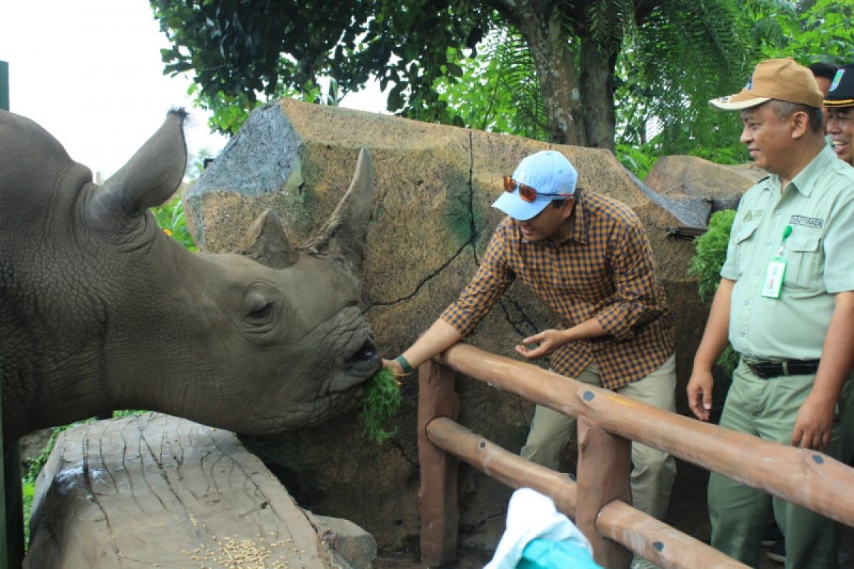 masuk taman safari harus vaksin