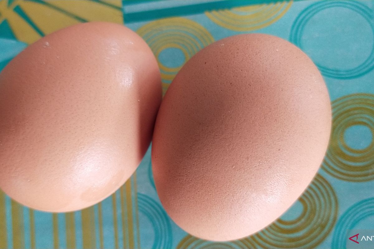 Harga telur naik di Mesuji