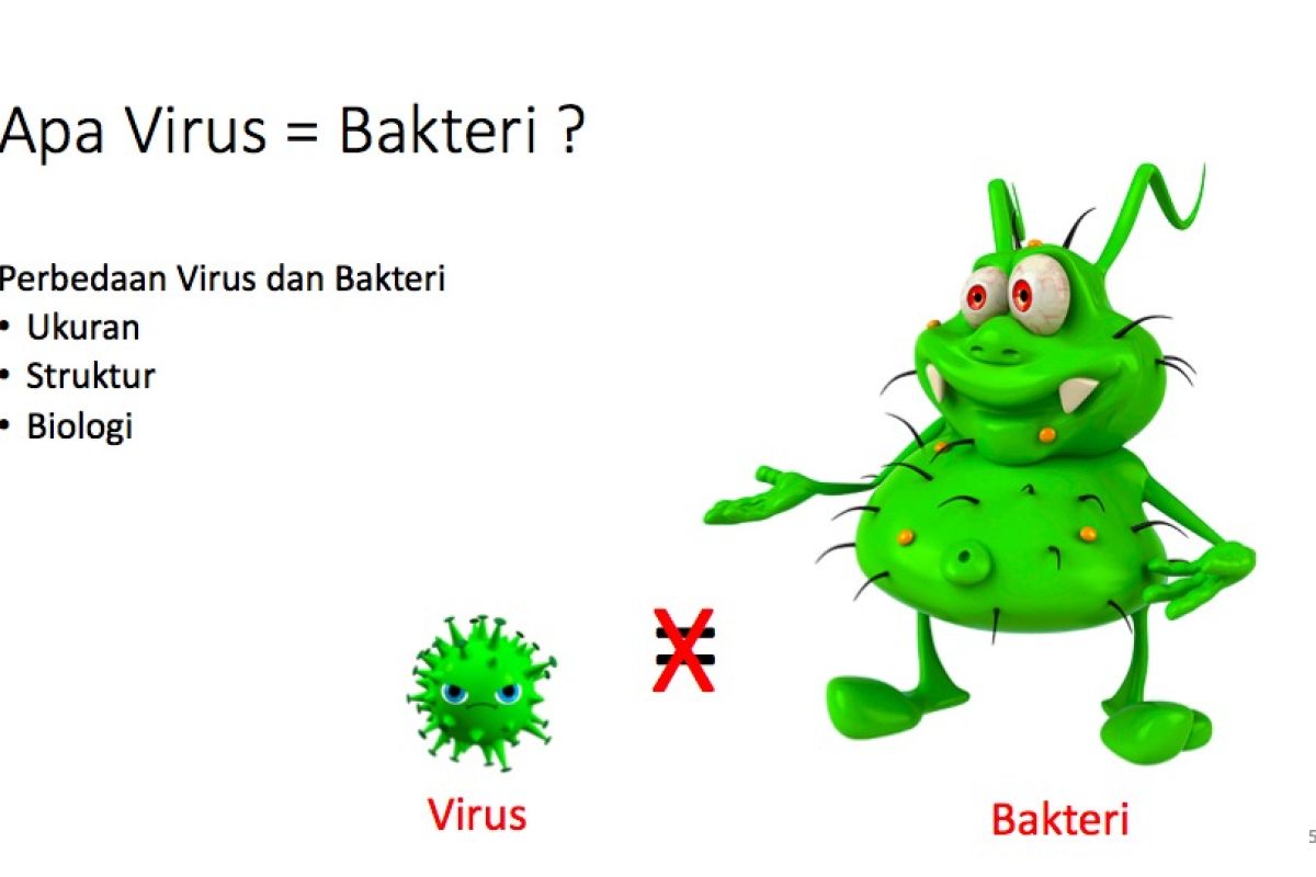 Ini beda virus dan bakteri menurut peneliti