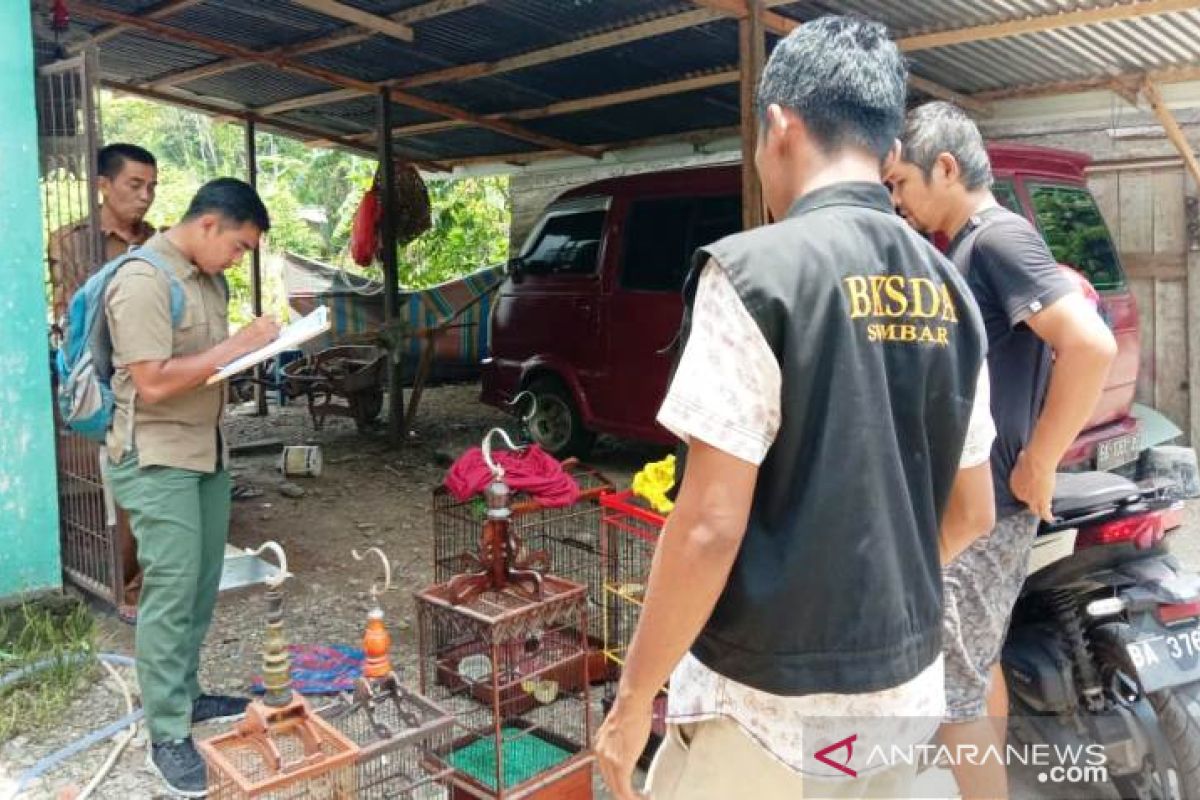 BKSDA Agam data burung peliharaan warga