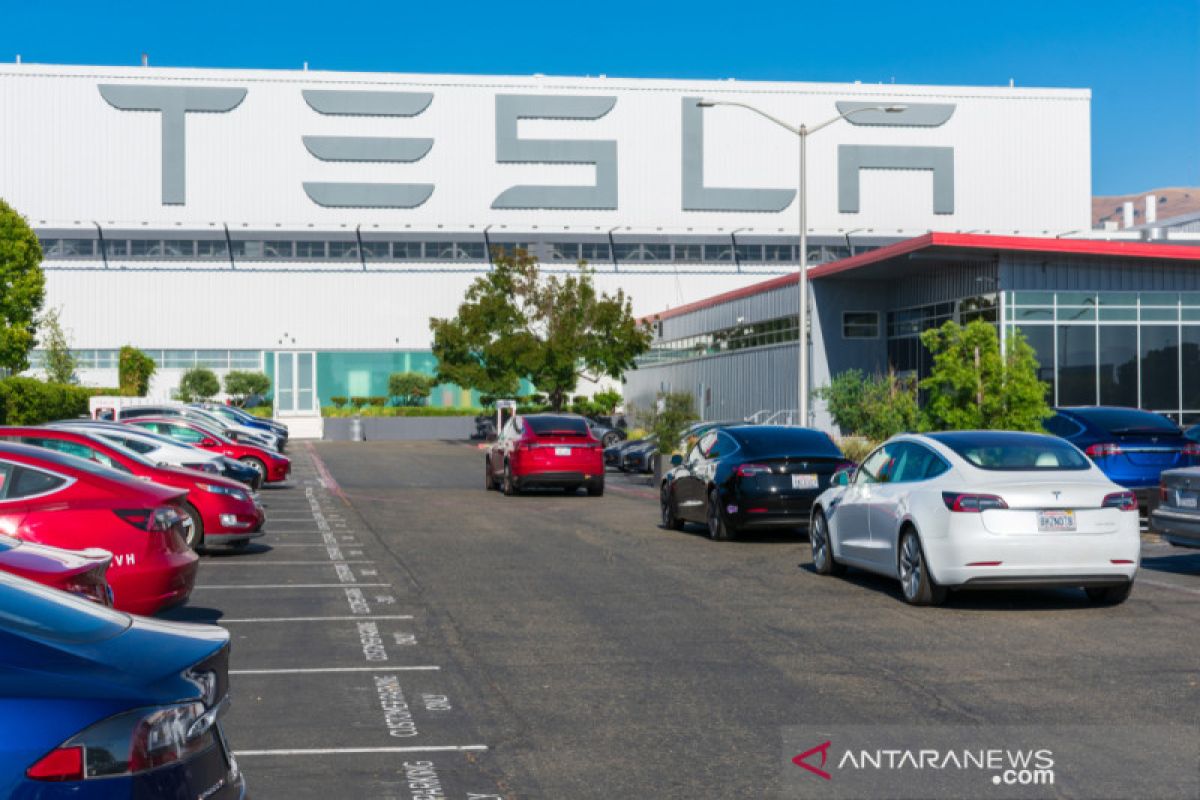 Tesla minta pegawainya kembali bekerja minggu depan