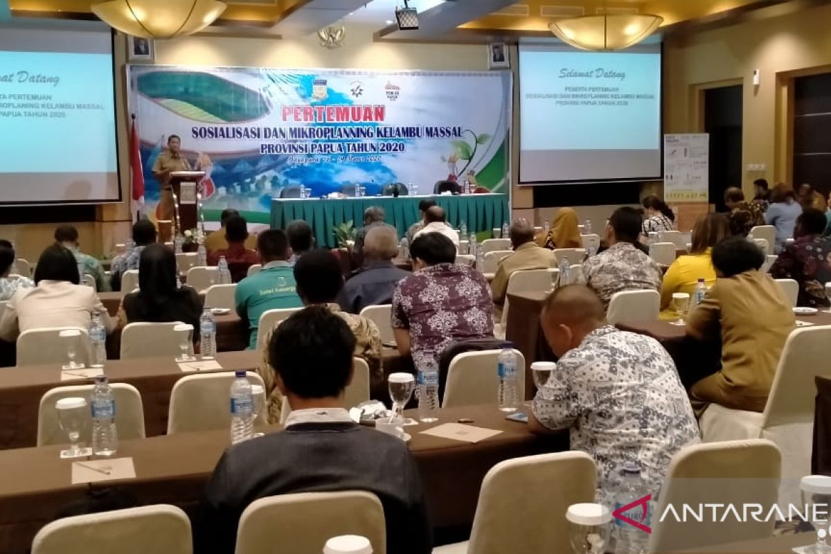 Kelambu berinsektisida dibagikan ke peloksok Papua