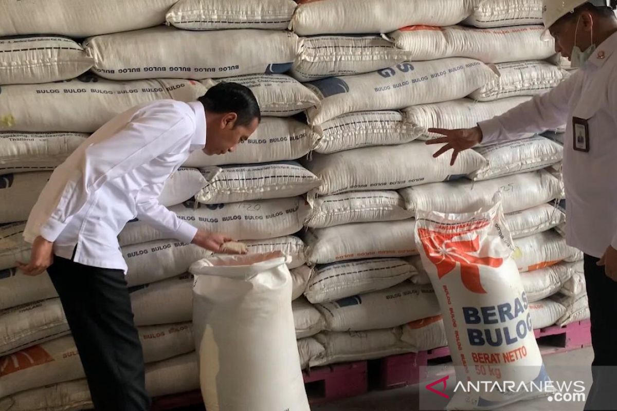 Presiden: Bulog segera lakukan operasi pasar untuk beras