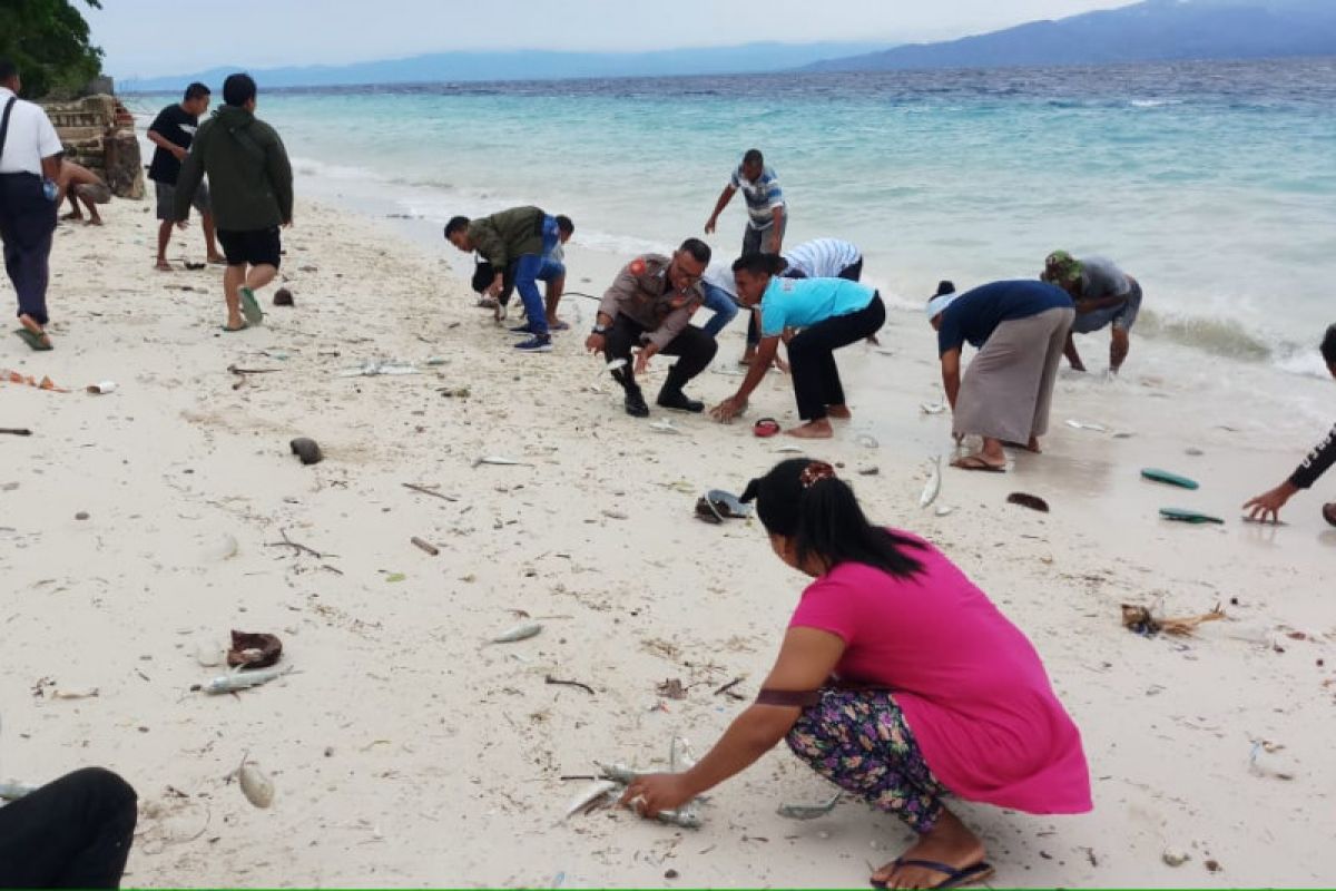 Fenomena ikan-ikan hidup terdampar di pantai Maluku Tengah, ini penjelasan KKP