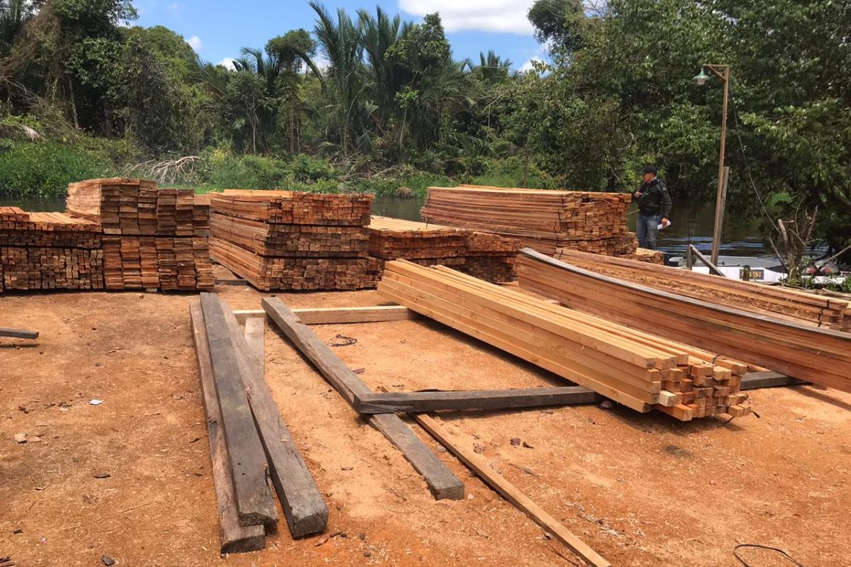 Polda Kalbar tetapkan pemilik ratusan batang kayu ilegal sebagai tersangka