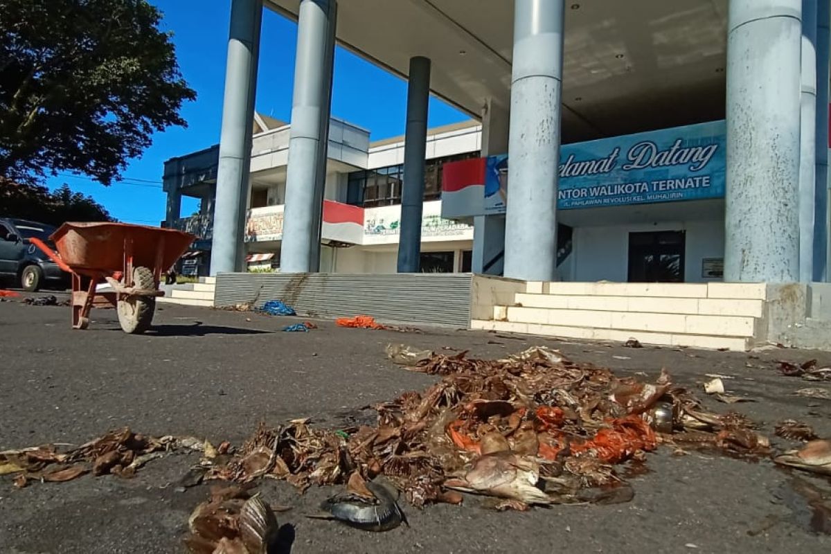 Pedagang gelar protes dengan buang ikan busuk ke kantor Wali Kota Ternate