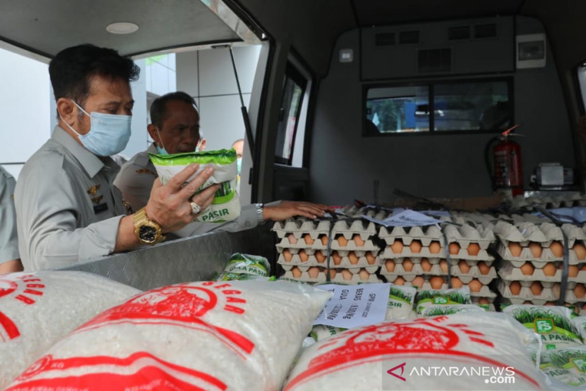 Mentan pastikan ketersediaan pangan secara nasional aman