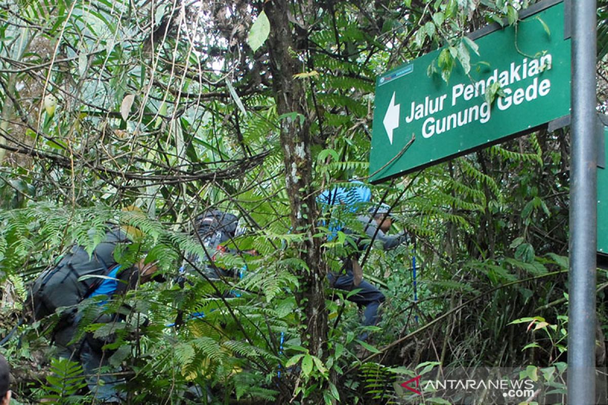 Penutupan jalur pendakian Gunung Gede-Pangrango kembali diperpanjang