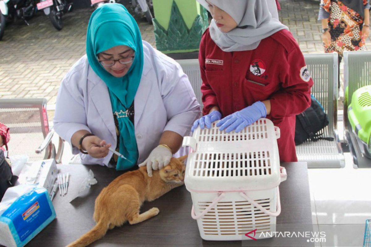 Cegah corona, vaksinasi rabies di Yogyakarta dihentikan sementara