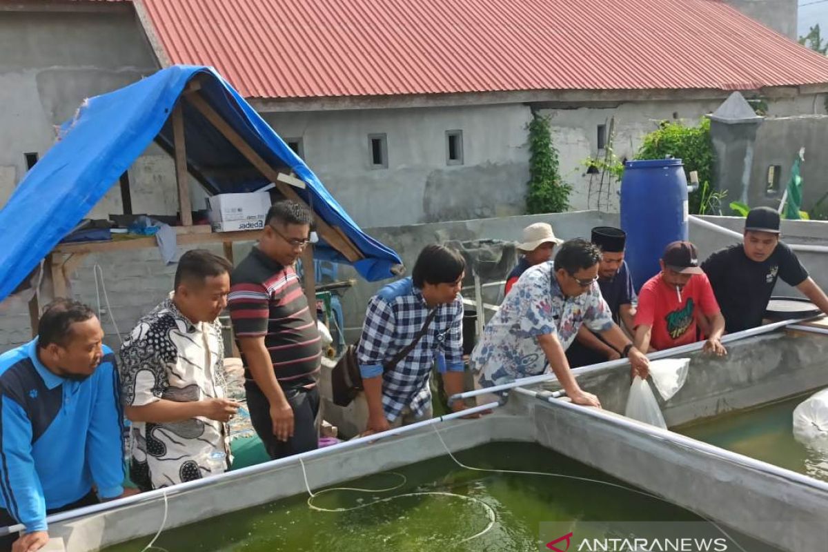 DKP Sulteng kucurkan bantuan benih untuk budidaya kreatif Ansor