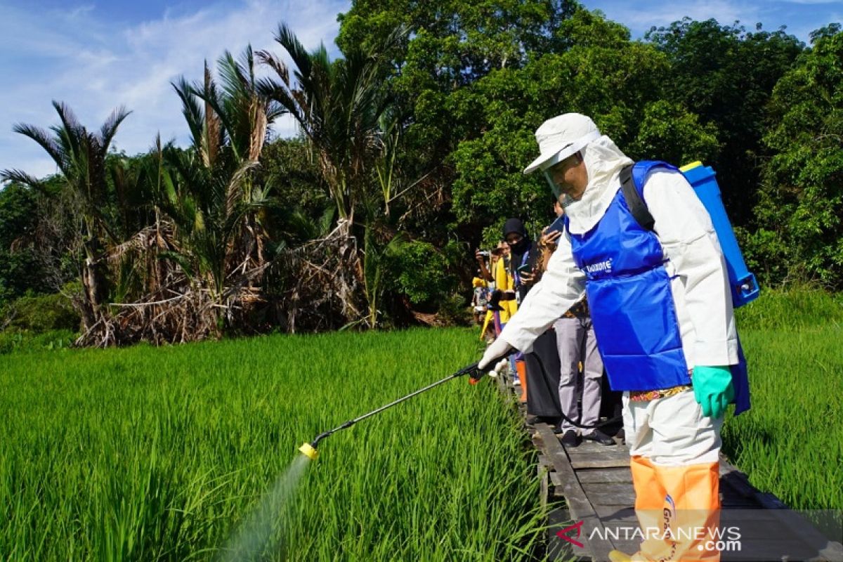 Tani Milenial - Gerakan Pengendalian Organisme Pengganggu Tanaman Padi