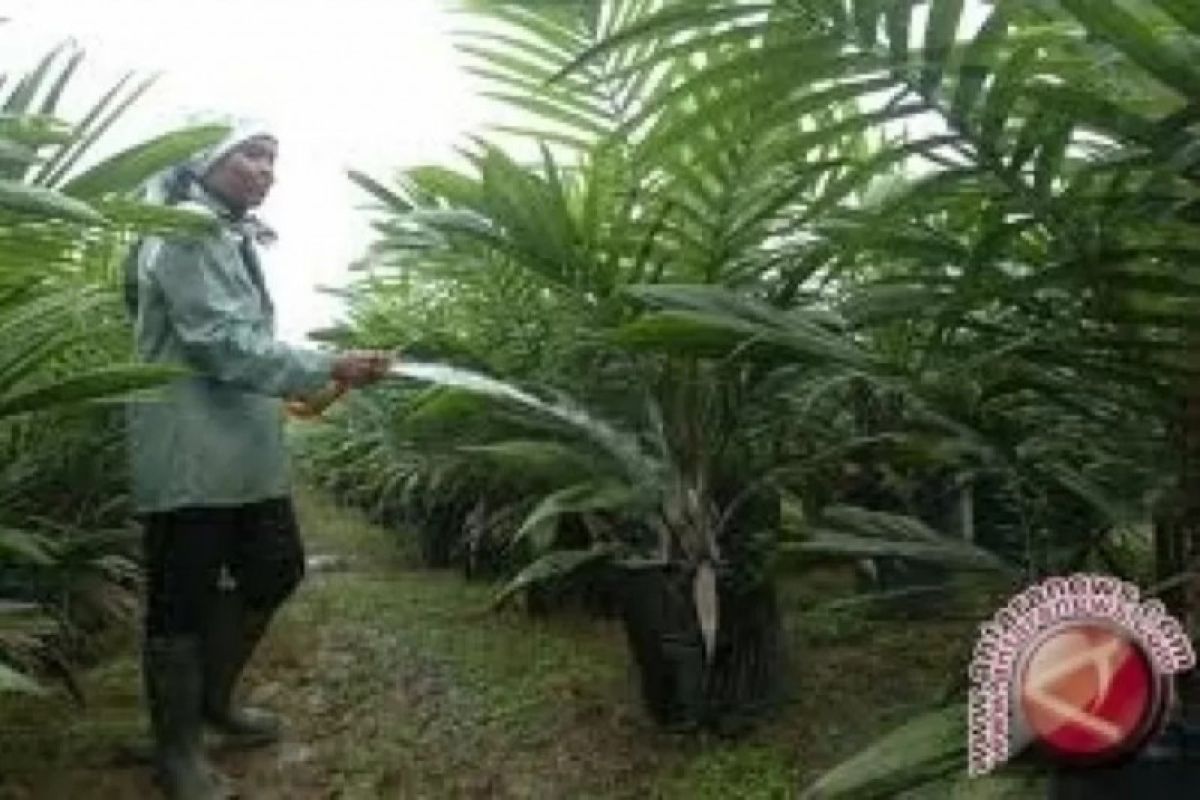 Sertifikat lahan PT. NJL dinyatakan fiktif