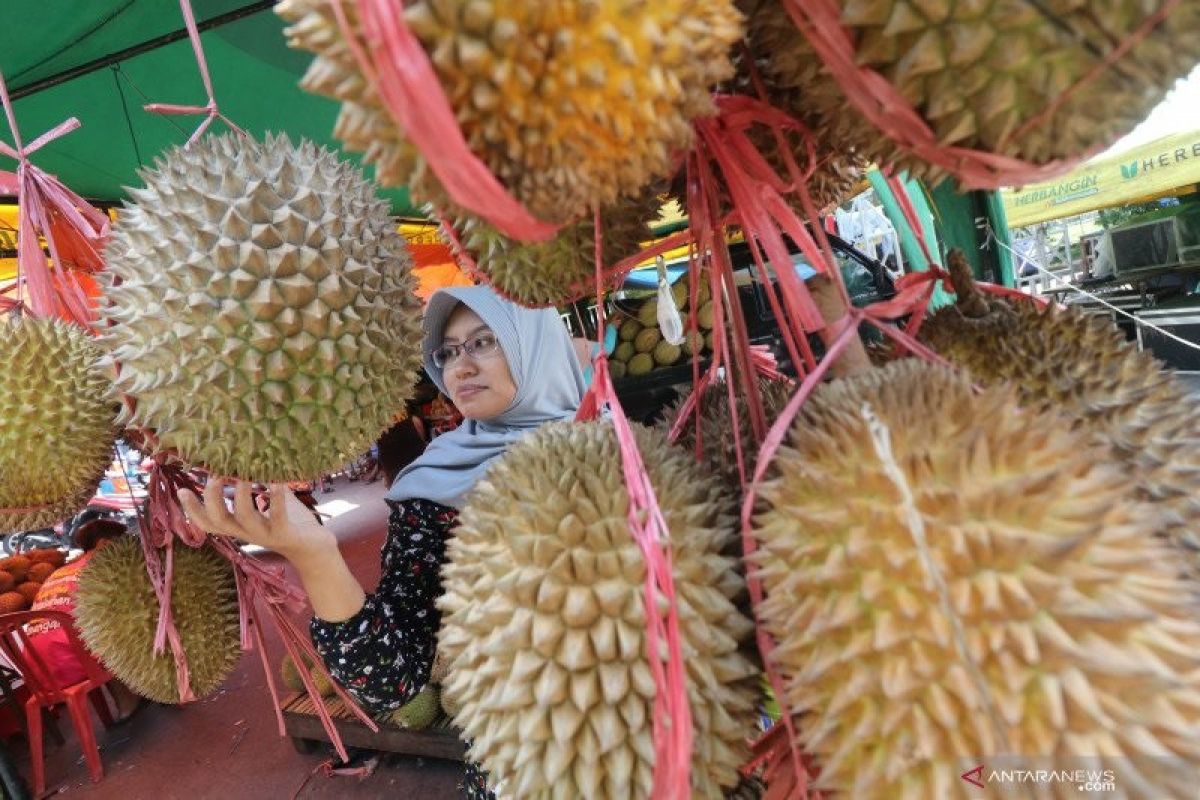 Manfaat terapi buah Durian, begini penjelasannya menurut para ahli