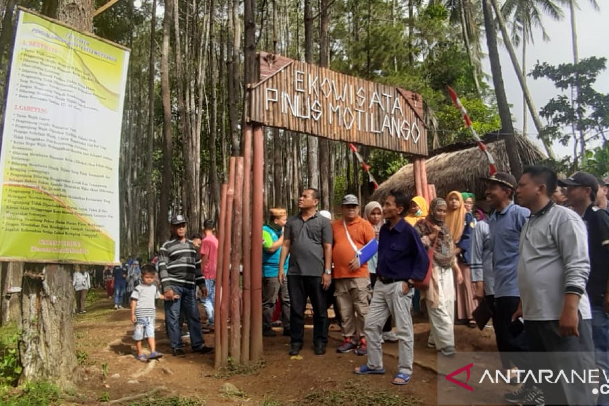 Pemkab Gorontalo dorong pengembangan Wisata Pinus Mootilango