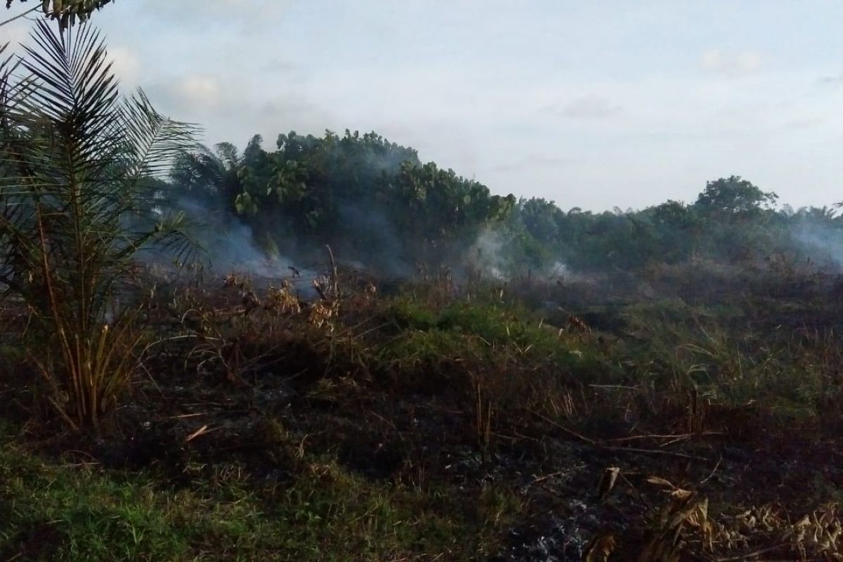 32 titik panas terdeteksi muncul di Aceh