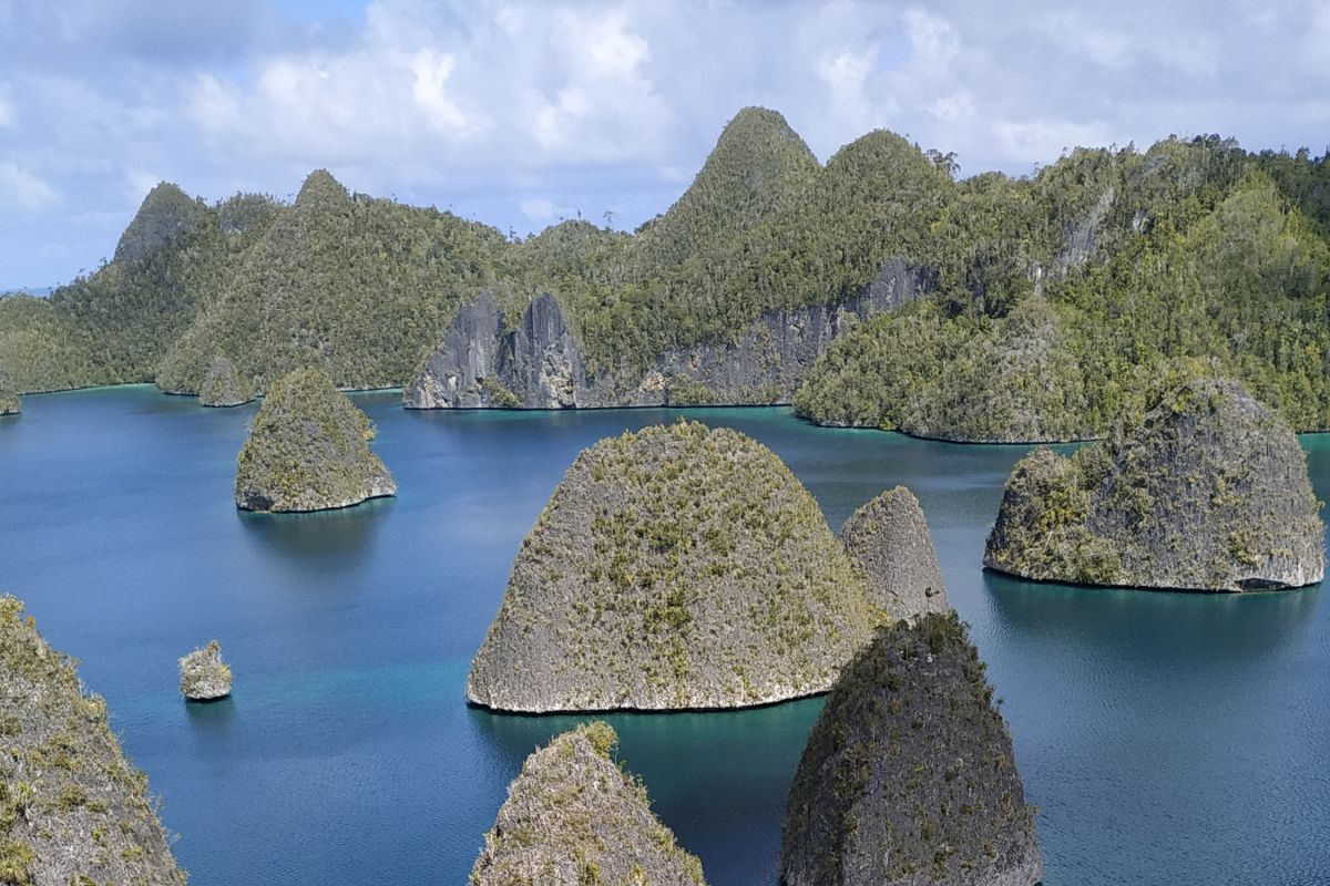 Pandemi corona beri kesempatan Raja Ampat benahi pariwisata