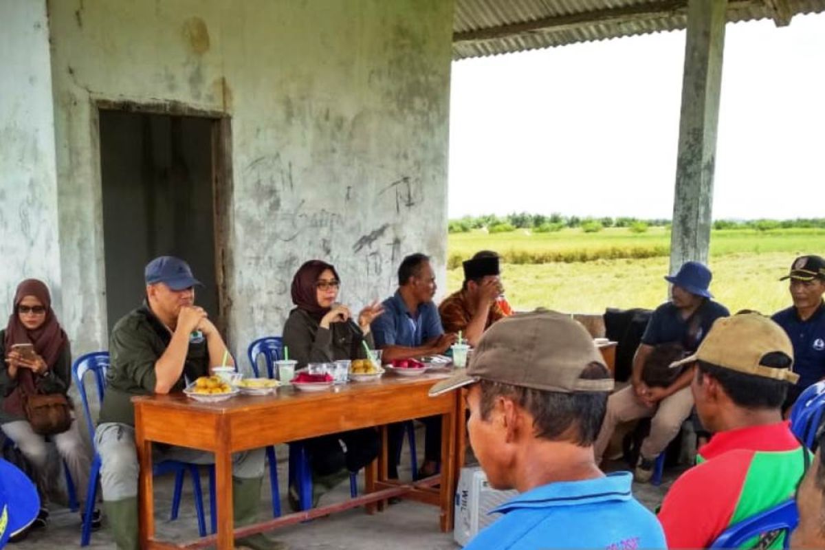 BRG galakkan sekolah lapangan  antisipasi karhutla