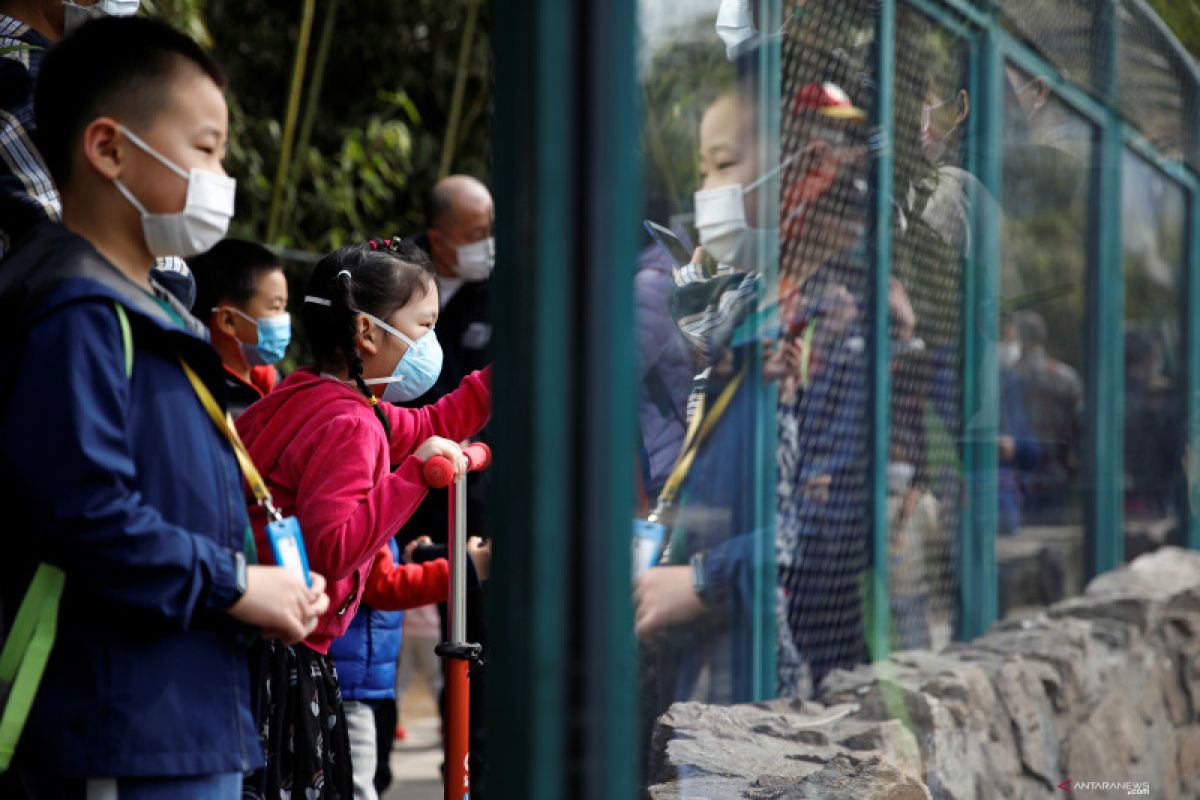 Petugas kebun binatang Shanghai tewas diserang kawanan beruang