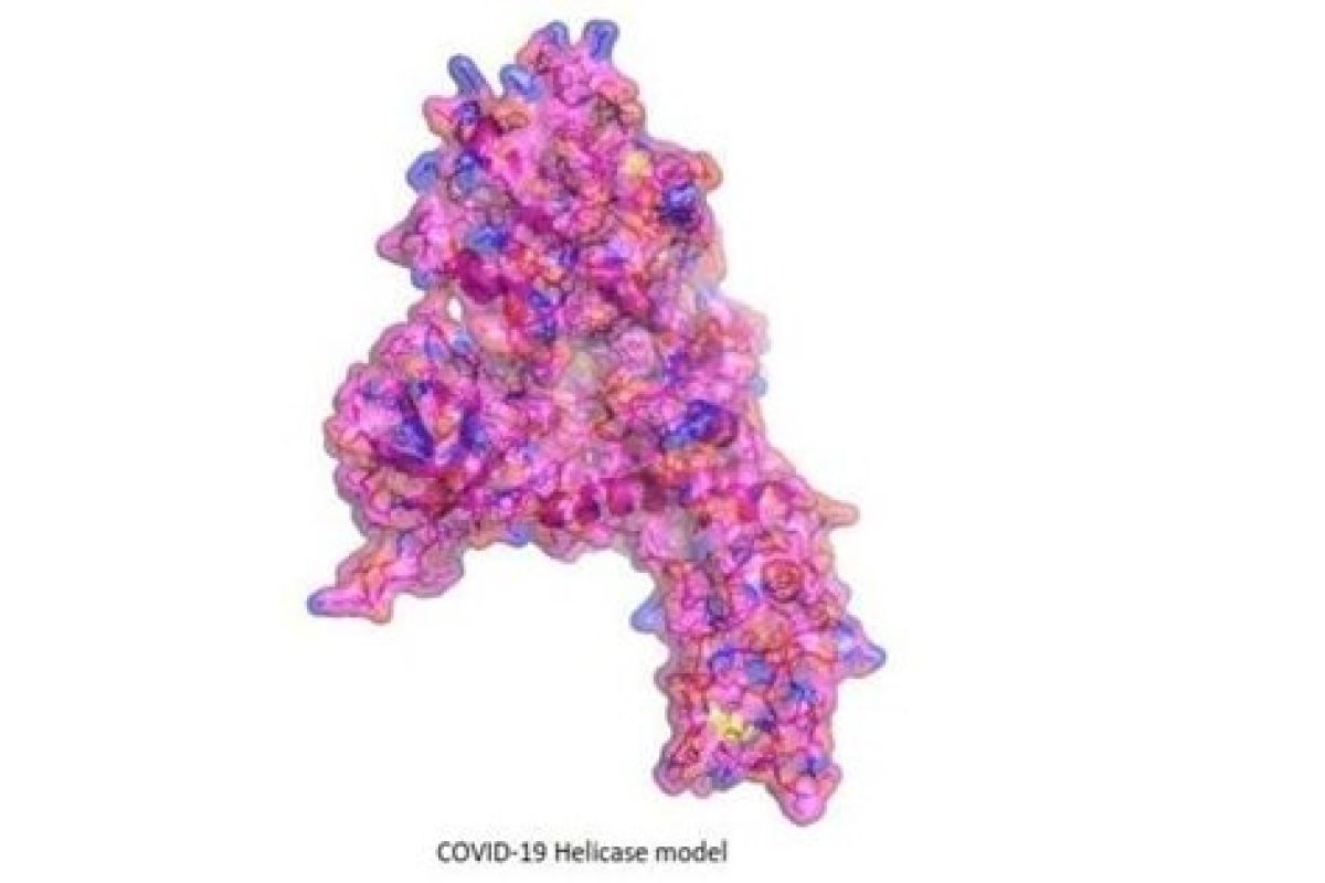 Impact BioMedical's Linebacker and Equivir inhibit SARS-CoV-2, virus responsible for the COVID-19 outbreak