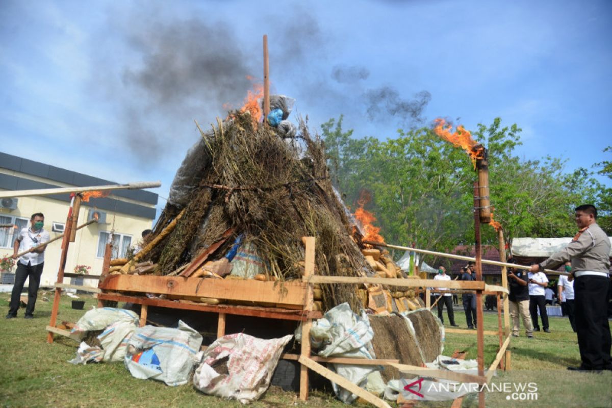 Satu ton ganja dan puluhan kilogram sabu di Aceh dimusnahkan