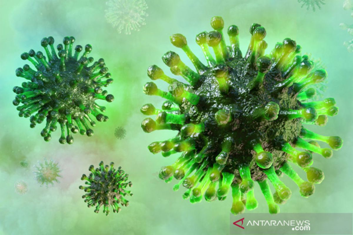 Wabah virus Corona, Chile karantina 1,3 juta orang di Santiago