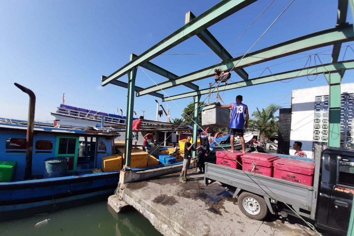 Nelayan di Kabupaten Belitung terpukul akibat harga ikan anjlok