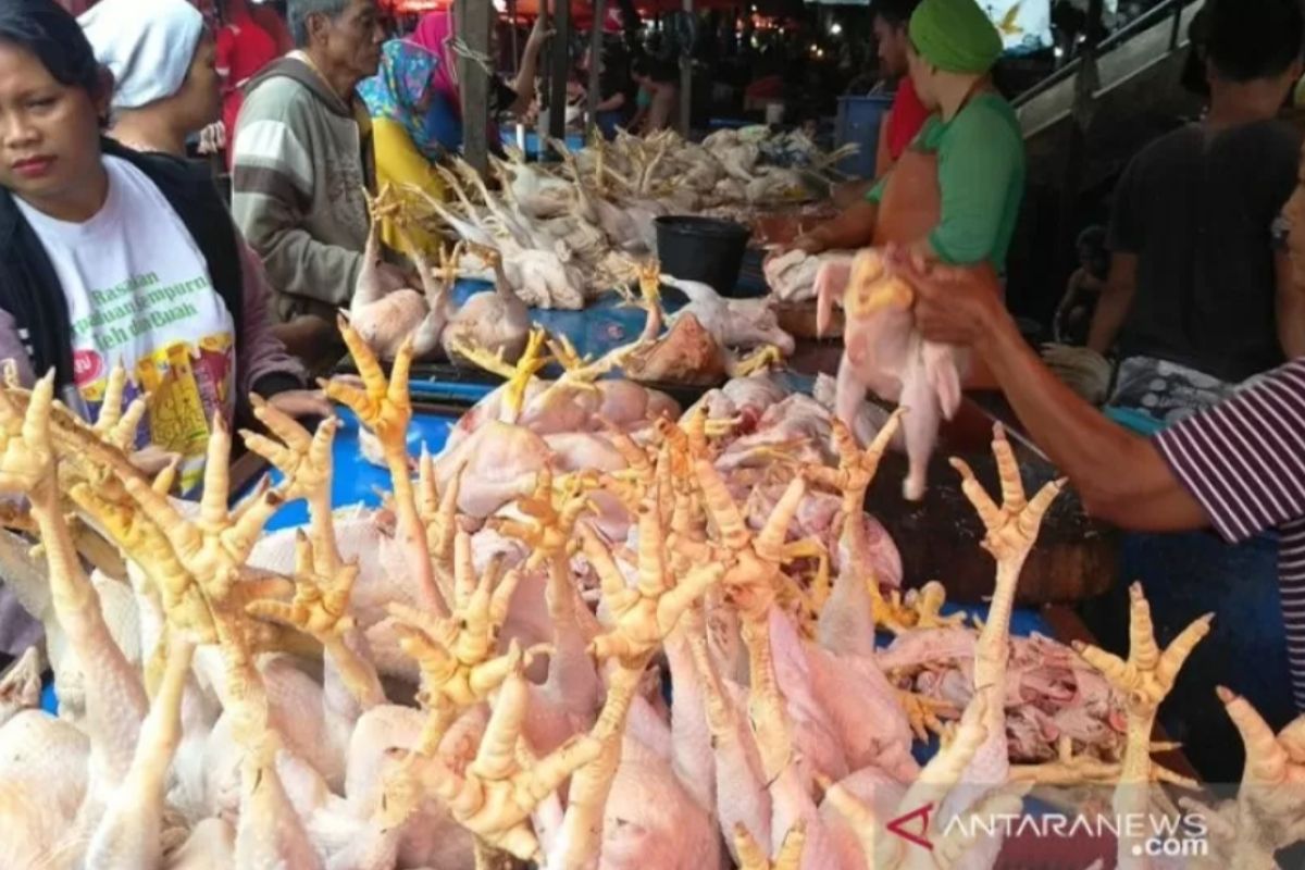 Harga daging ayam ras dan cabai di Pasar Tembilahan turun