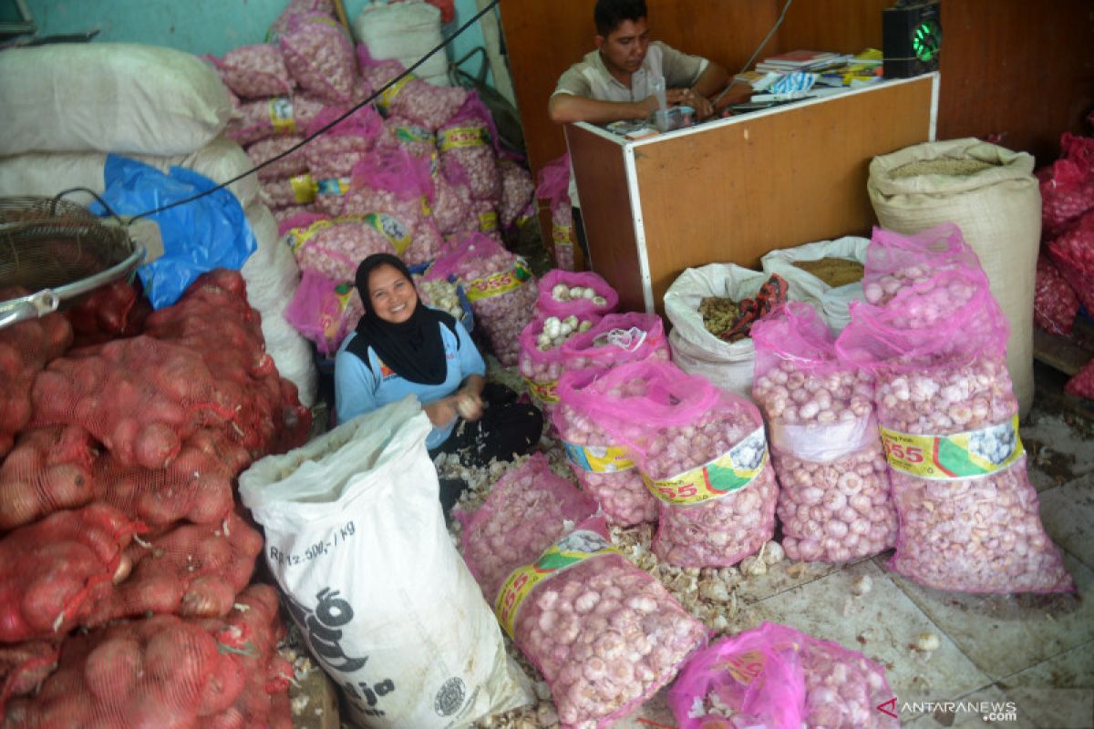 Kementan pastikan relaksasi impor bawang sejalan dengan Kemendag