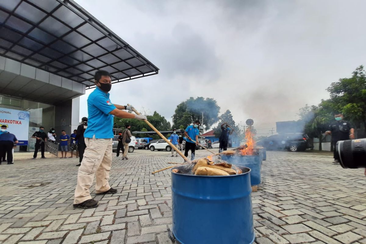 BNN Provinsi Banten musnahkan barang bukti 50 kilogram ganja