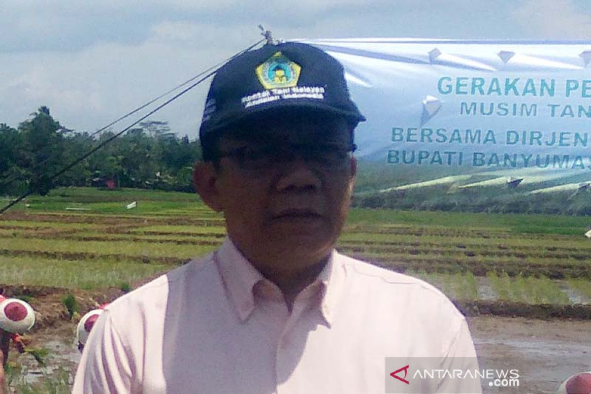 Hadapi panen raya, petani Banyumas diimbau antisipasi penyebaran COVID-19