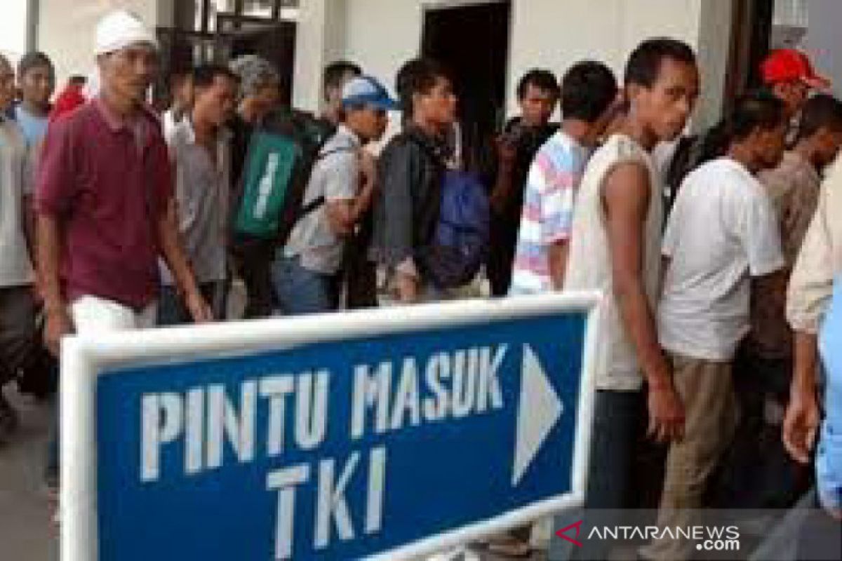 Diskominfo: 4.444 TKI dari Malaysia pulang lewat Riau