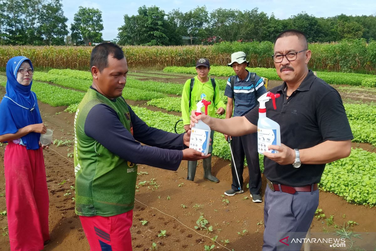 Balittra bagikan 500 botol cairan disinfektan ke para petani