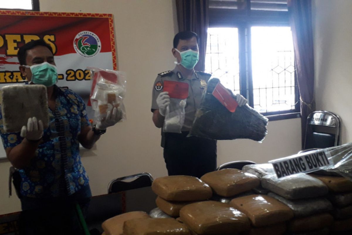 Polda Lampung tangkap 442 tersangka selama dua pekan pada Ops Antik