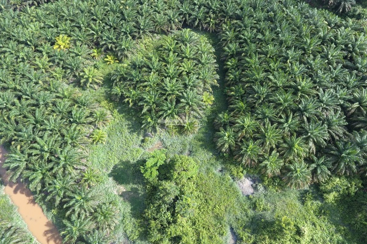 Industri Pengolahan di Kaltara Dapat Tumbuh Positif