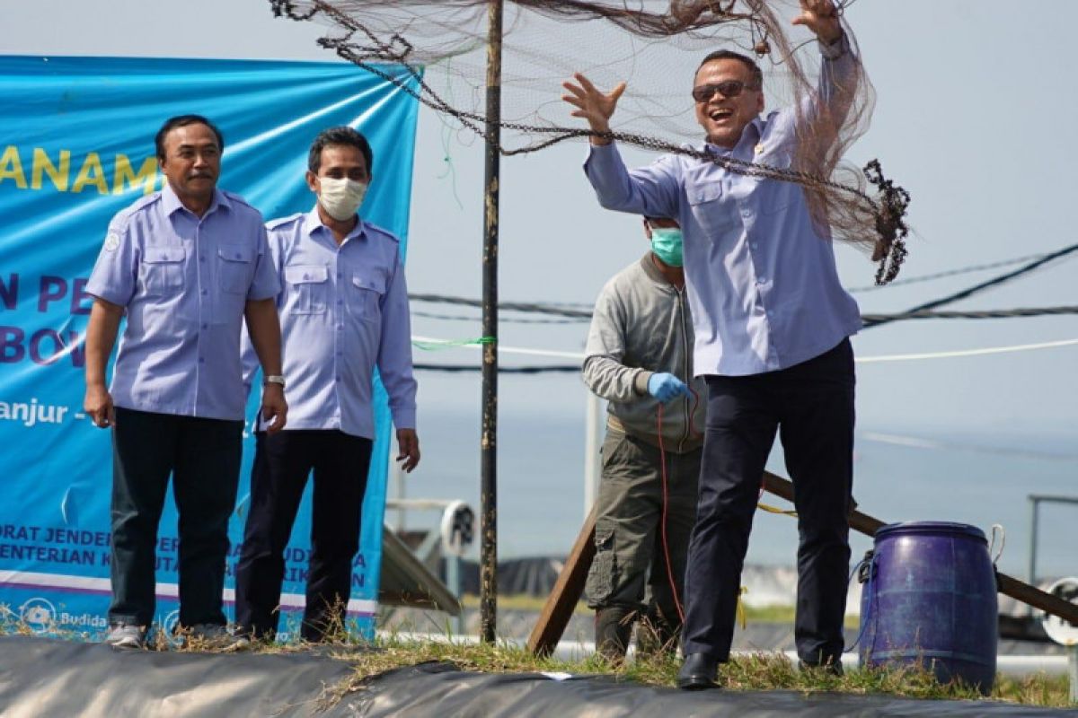 Menteri: Pembudidaya perlu produksi pangan rakyat di tengah COVID-19