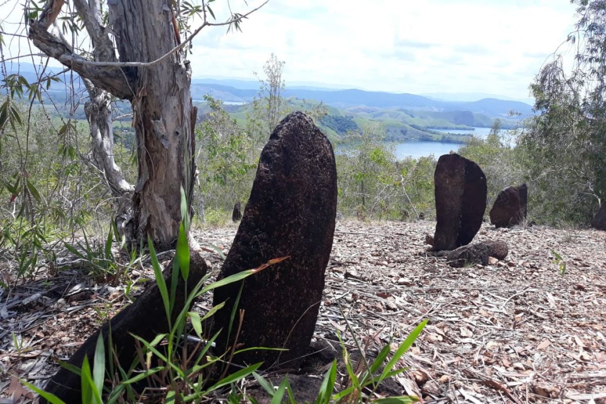 Peneliti minta situs arkeologi di Papua ditutup cegah COVID-19