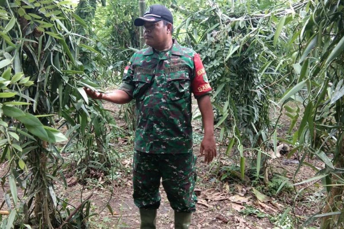 Babinsa Satgas TMMD bantu warga jadikan Kampung Kibay mandiri pangan