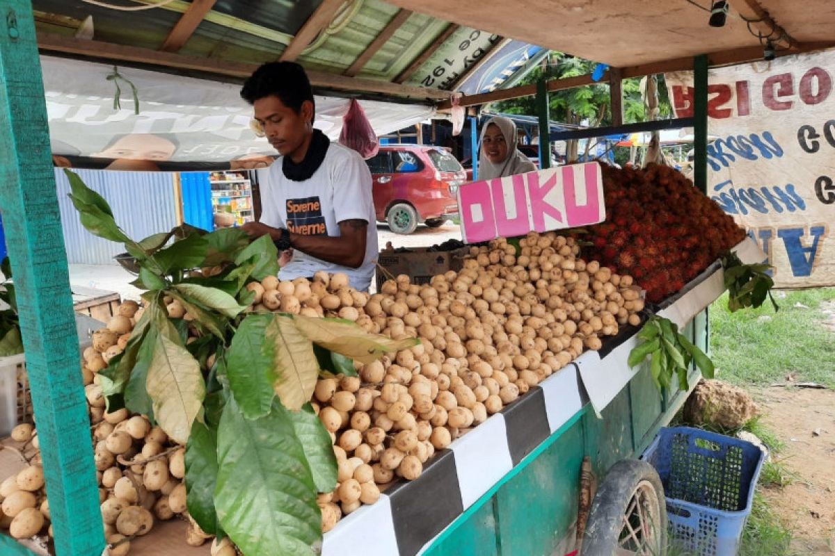 Harga buah duku impor di Kendari capai Rp40.000/kg