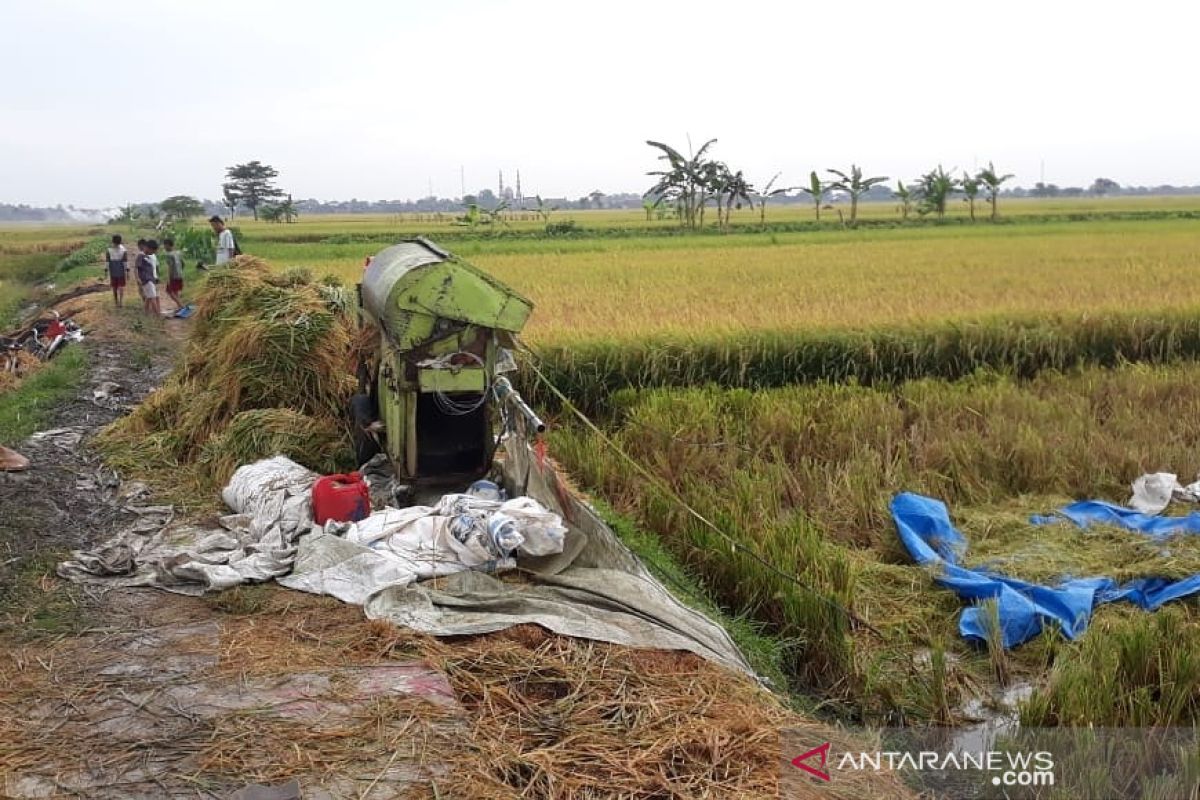 4 buruh tani di Demak meninggal akibat tersambar petir