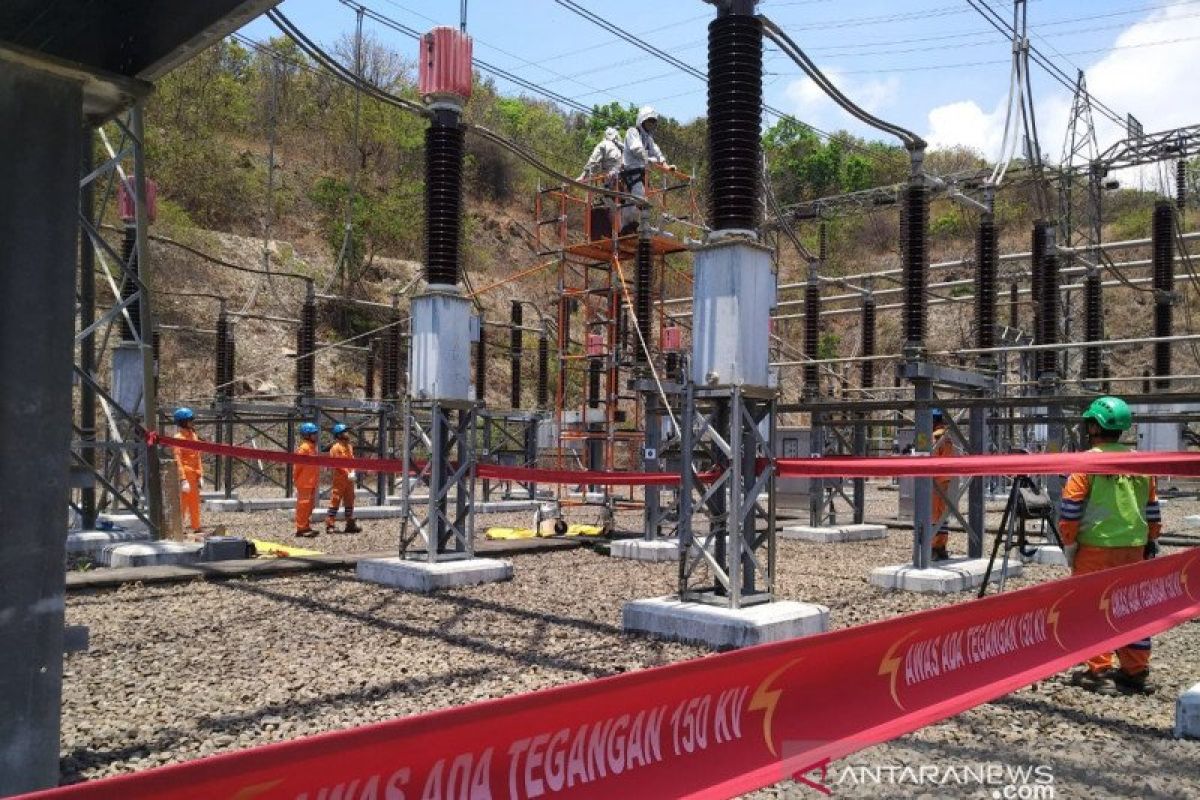 Jellyfish swarm waters near Paiton power plant in East Java