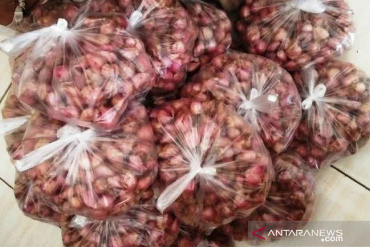 Produksi surplus, Kementan jamin bawang merah cukup hingga Lebaran