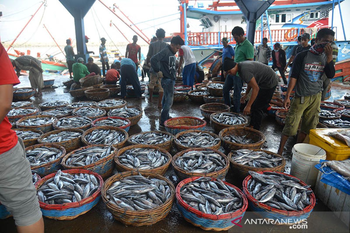 Kesulitan pasarkan ikan