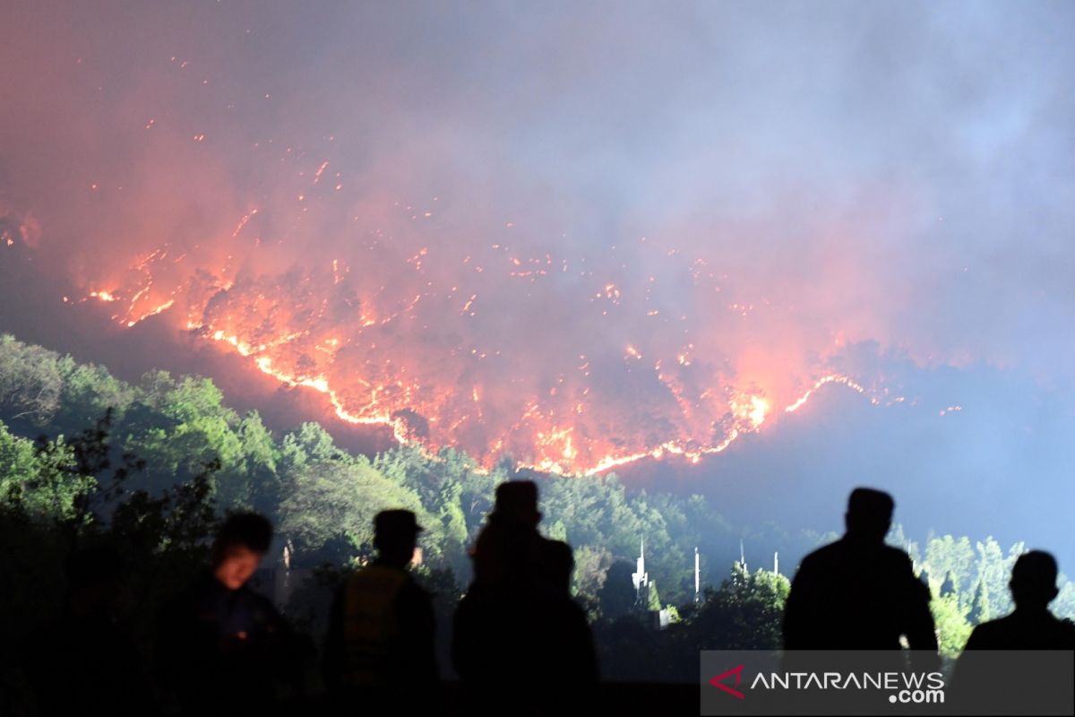 Kebakaran hutan di China telan korban jiwa