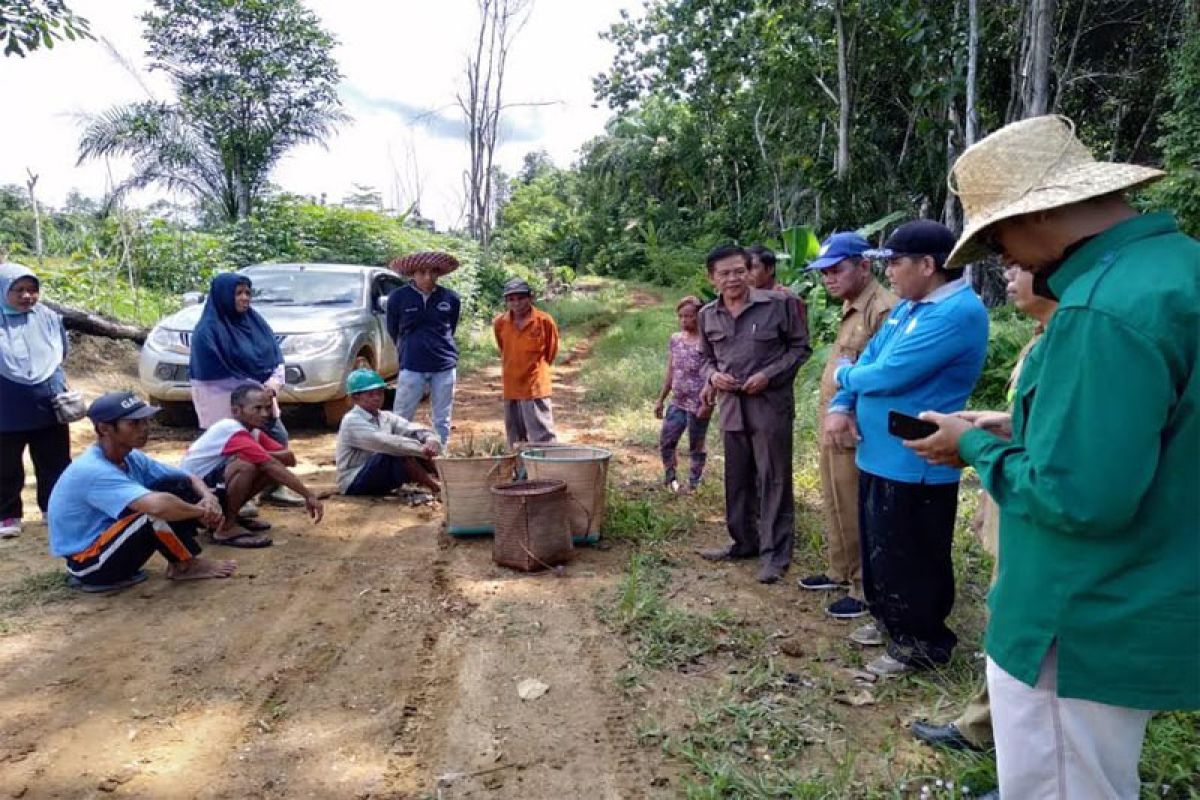 Pemkab akan bantu  mesin panen padi untuk warga Tongka