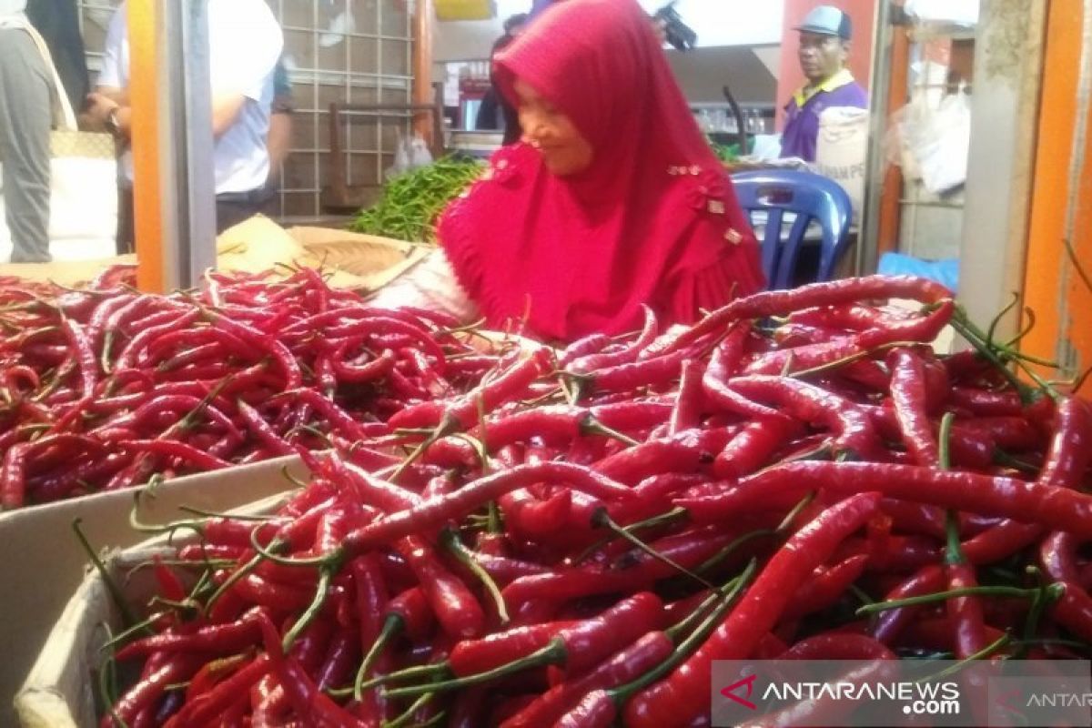 Harga cabai merah dan bawang turun, Padang deflasi 0,02 persen pada Maret 2020