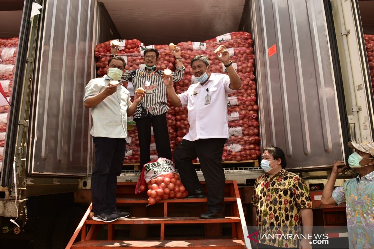 Mentan tinjau gudang importir bawang bombai di Tanjung Priok