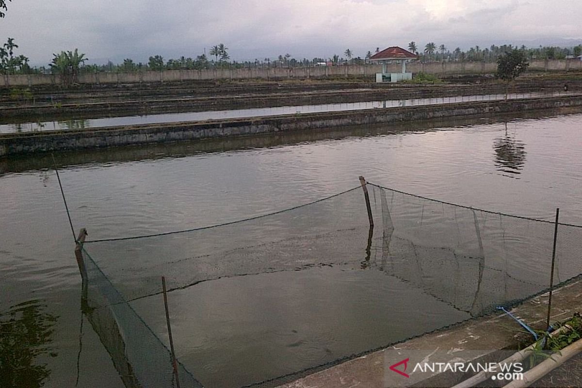 Proyek rehabilitasi balai benih ikan di Rejang Lebong dibatalkan