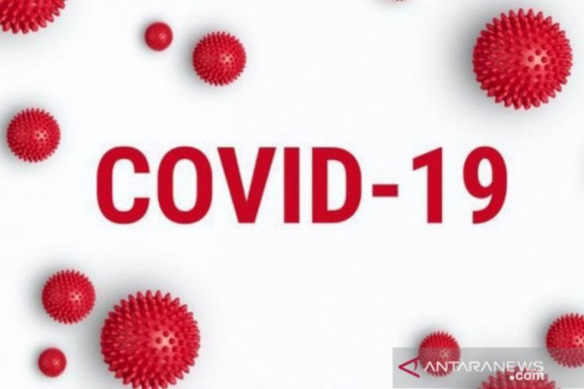 Kasus positif COVID-19 di Kalteng menjadi 19